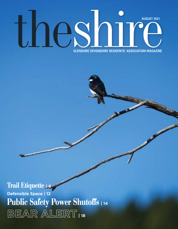 The Shire August 2021