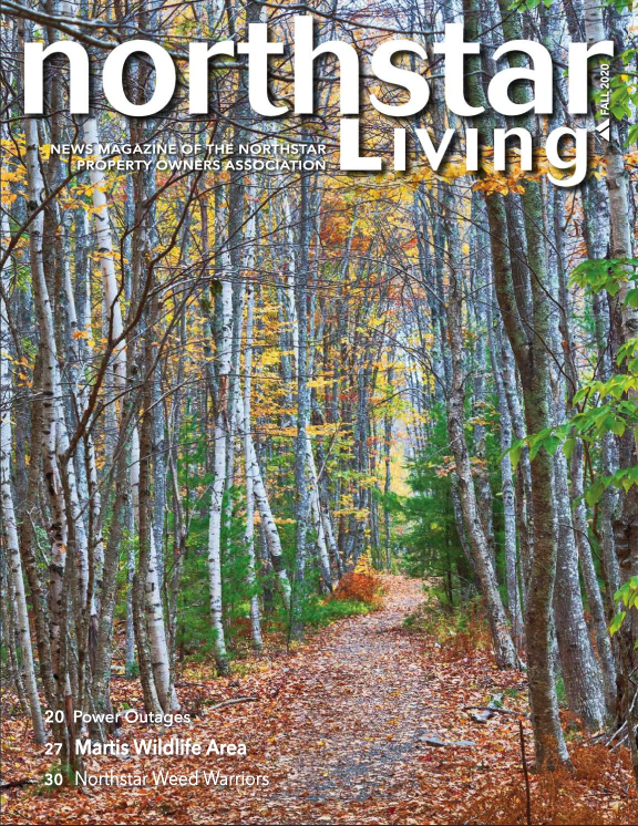 Northstar Living Fall 2020