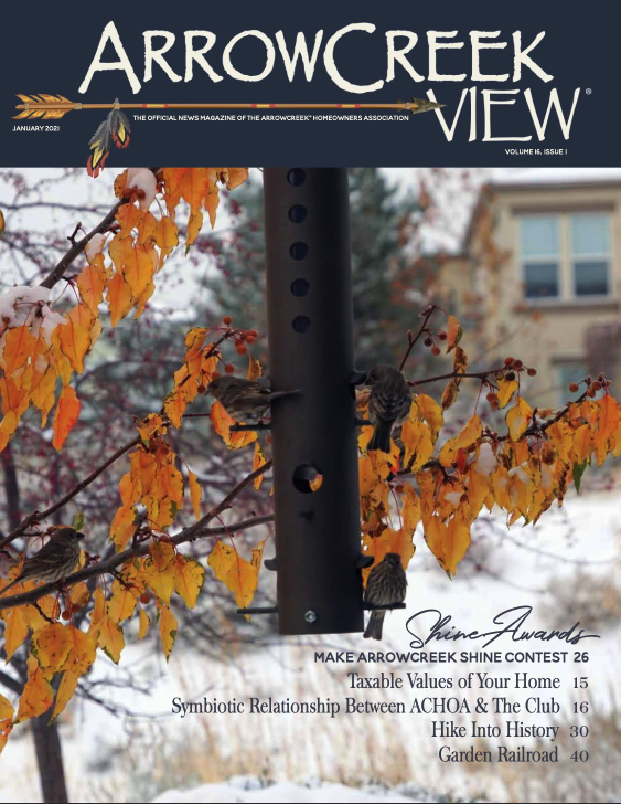 ArrowCreek View January 2021