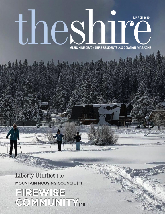 The Shire March 2019