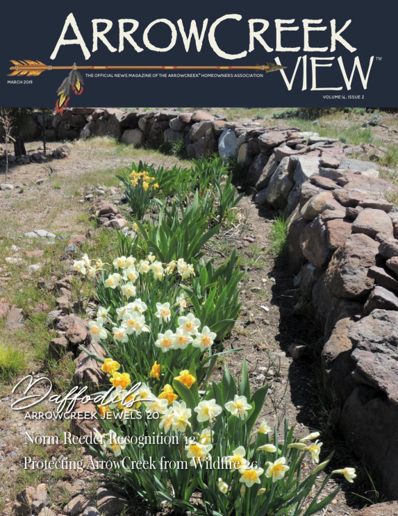 ArrowCreek View March 2019