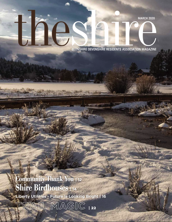 The Shire March 2020