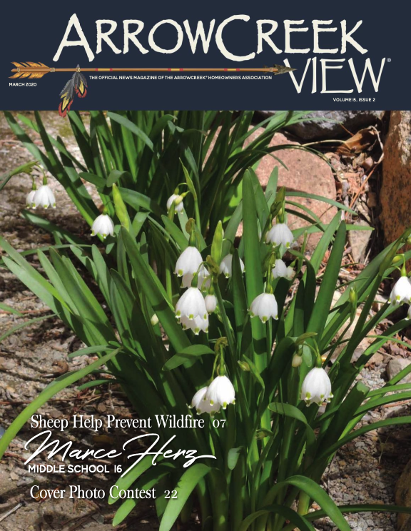 ArrowCreek View March 2020
