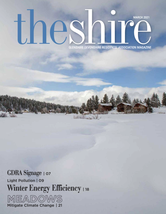 The Shire March 2021