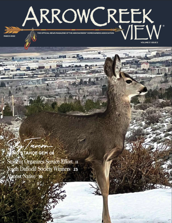 ArrowCreek View March 2022