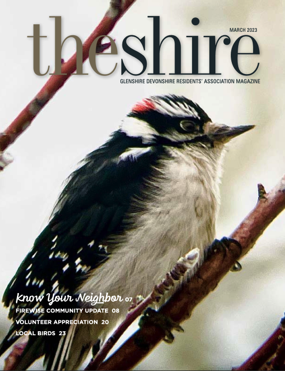 The Shire March 2023