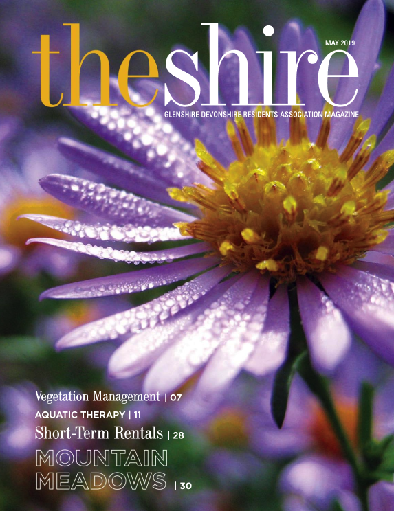The Shire May 2019
