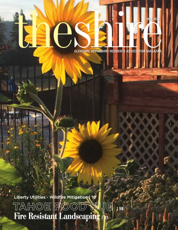 The Shire May 2020