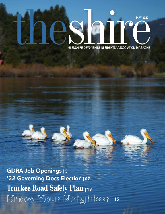 The Shire May 2022