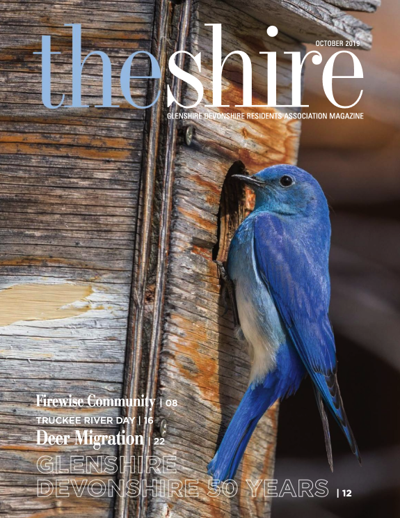 The Shire October 2019