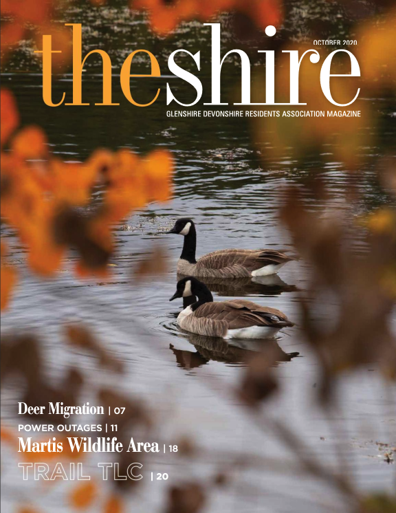 The Shire October 2020