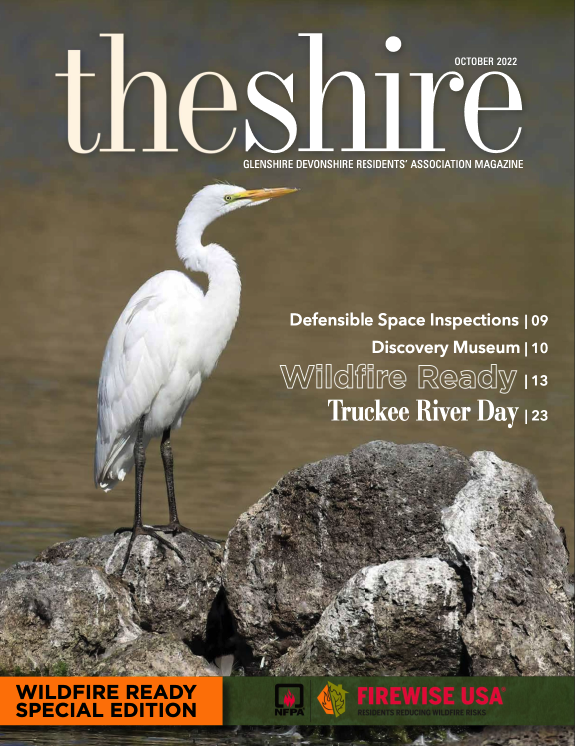 The Shire October 2022