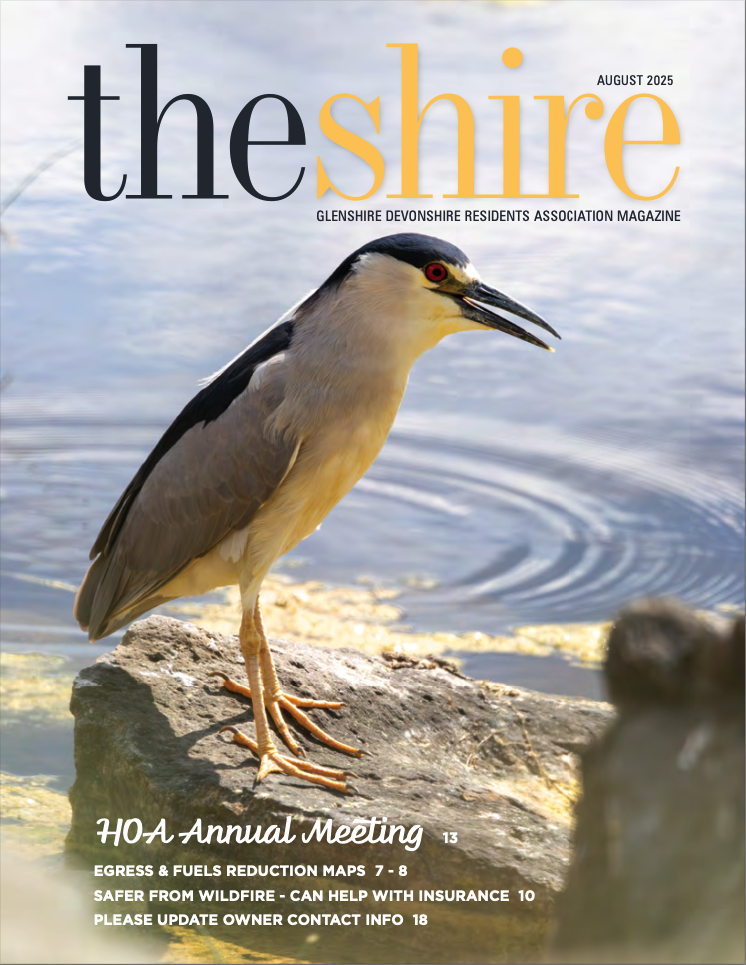 The Shire August 2025
