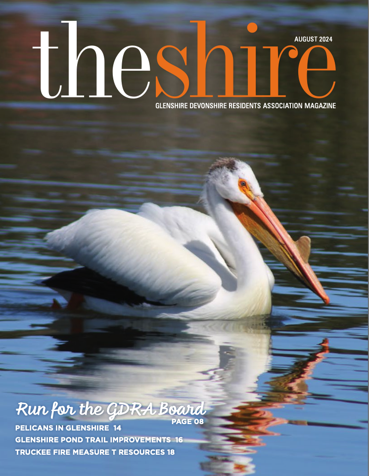 The Shire August 2024