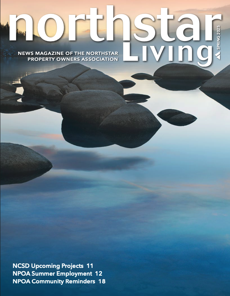 Northstar Living Spring 2025