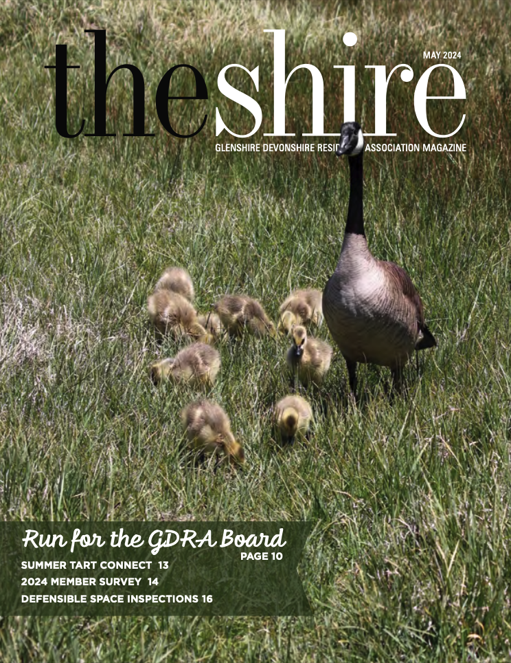 The Shire May 2024