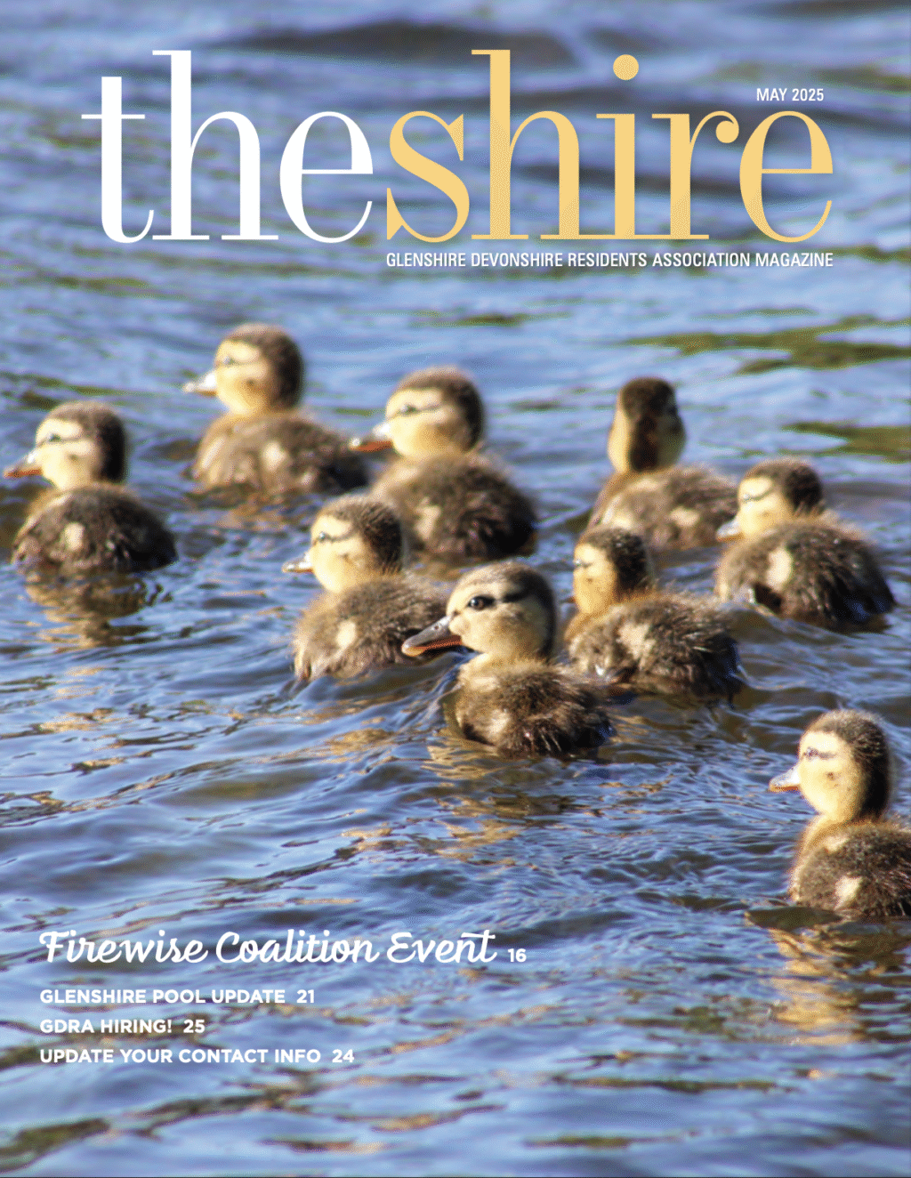 The Shire May 2024