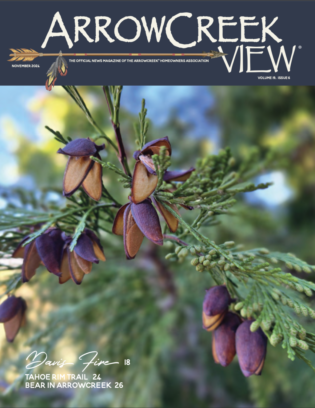 ArrowCreek View November 2024