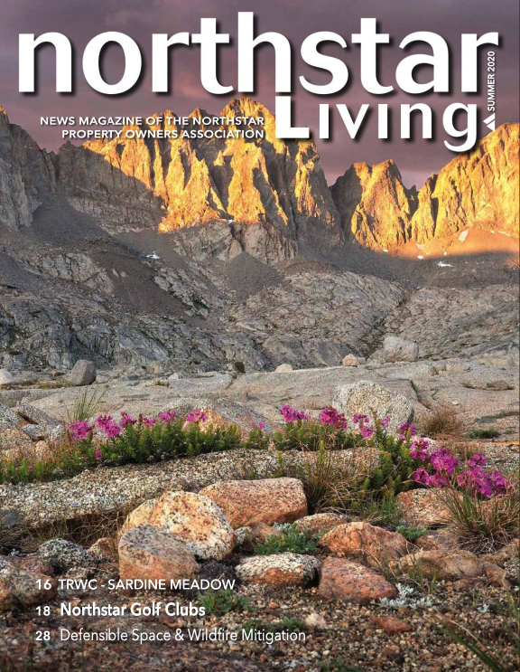 Northstar Living Summer 2020