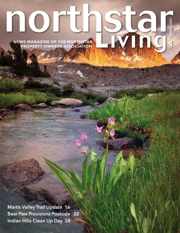 Northstar Living Summer 2021