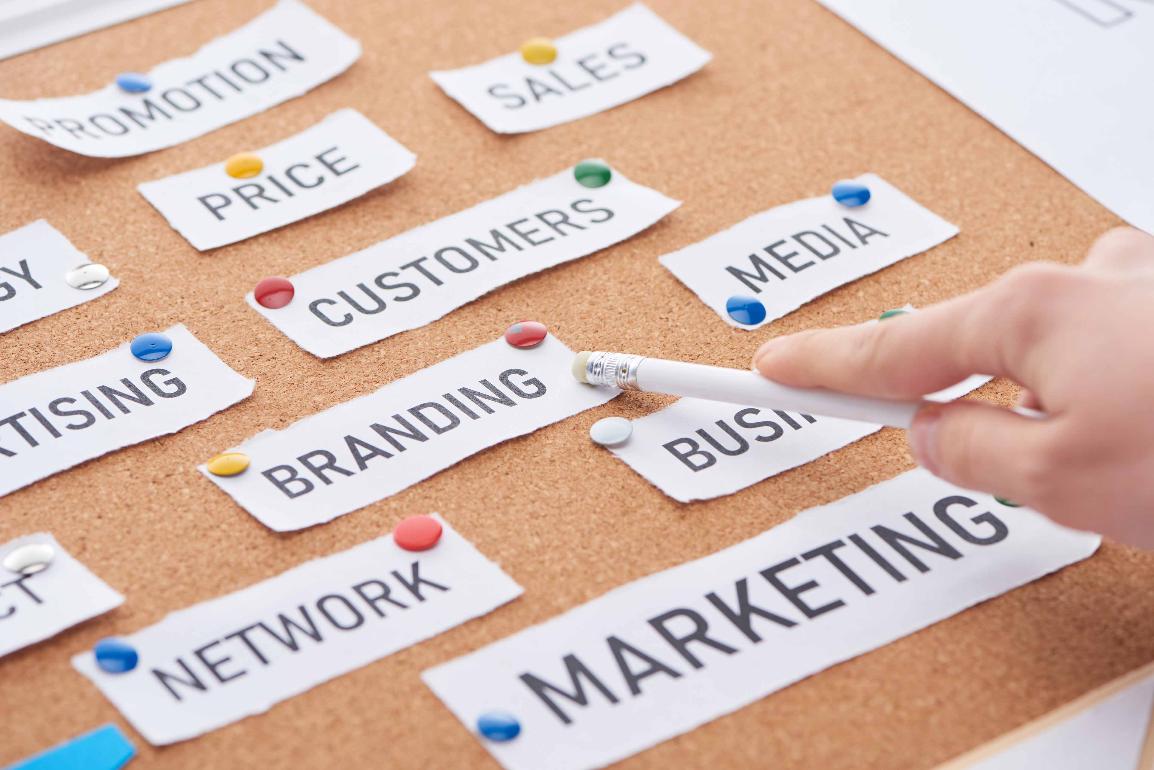 cropped view of woman pointing with pencil on brand